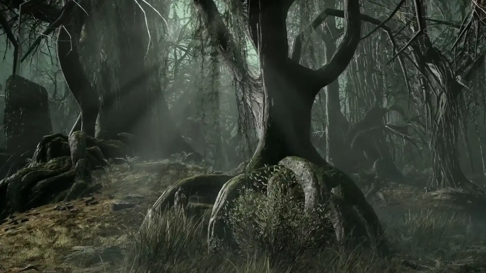 Helldivers 2 Escalation of Freedom