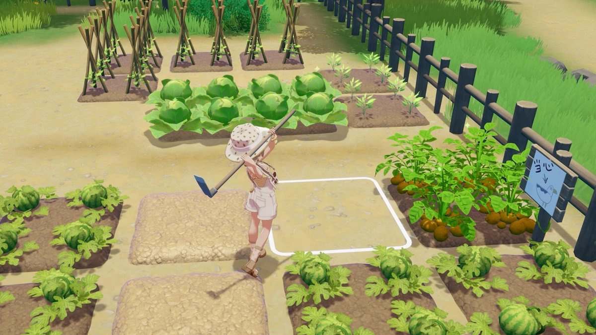 ระบบทำฟาร์มและการปลูกผักกะหล่ำปลีแตงโมในเกม Starsand Island