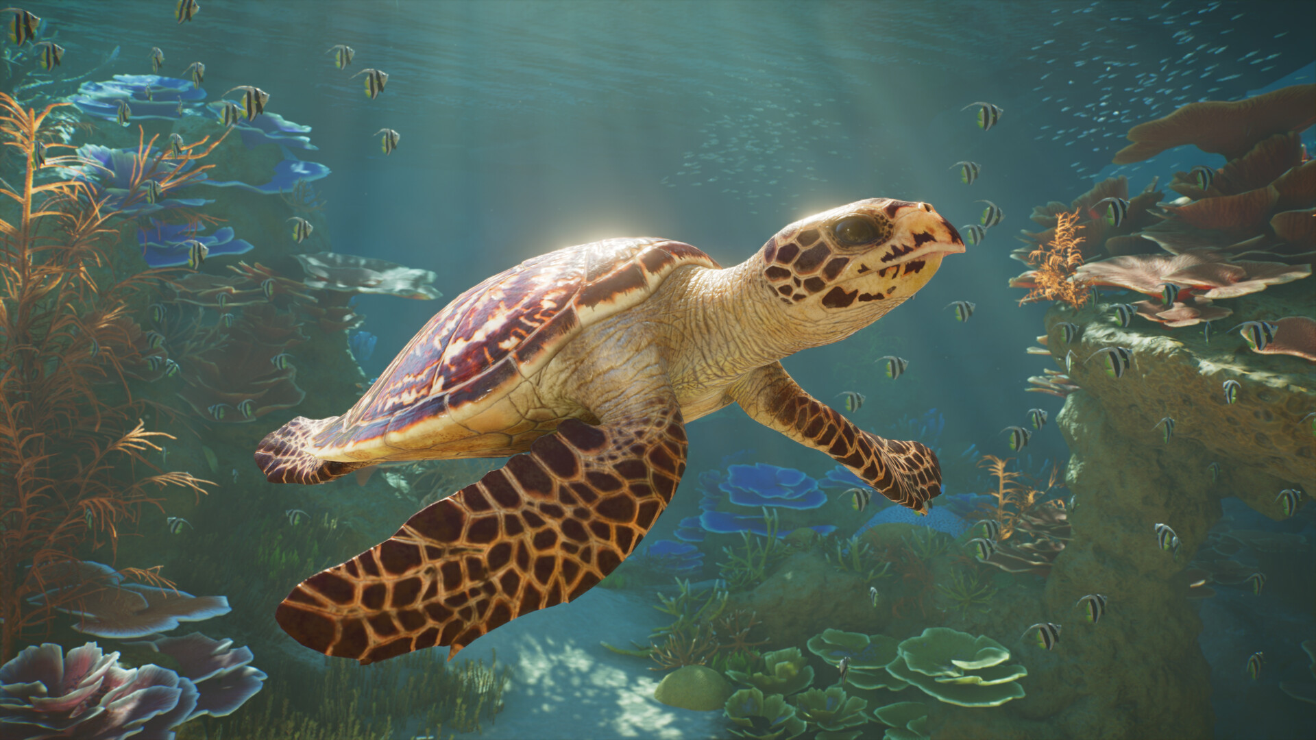 เต่าทะเลว่ายน้ำท่ามกลางฝูงปลาและปะการังใน Planet Zoo 2