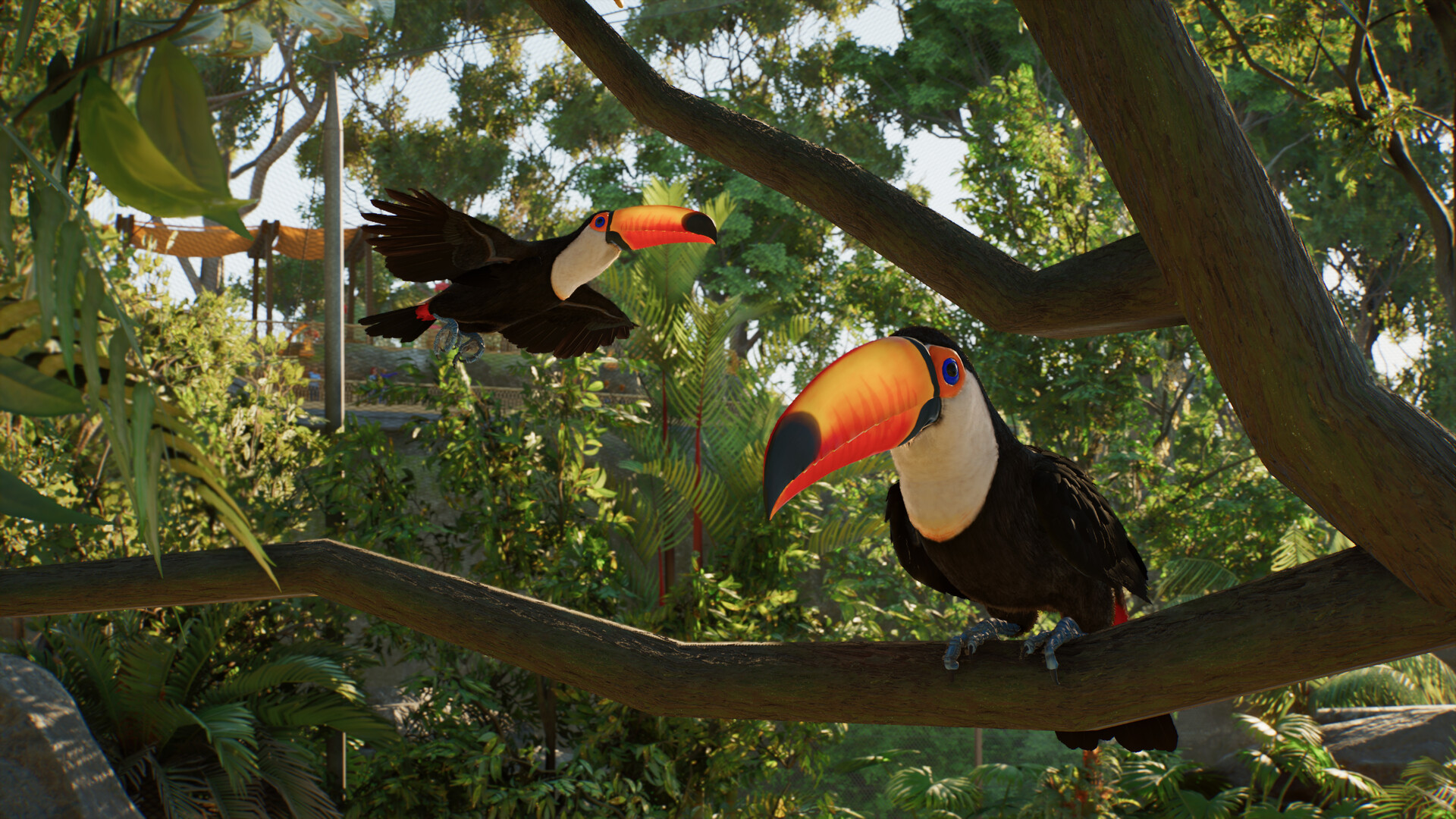 นกทูแคนเกาะกิ่งไม้และบินภายในพื้นที่สวนสัตว์ใน Planet Zoo 2