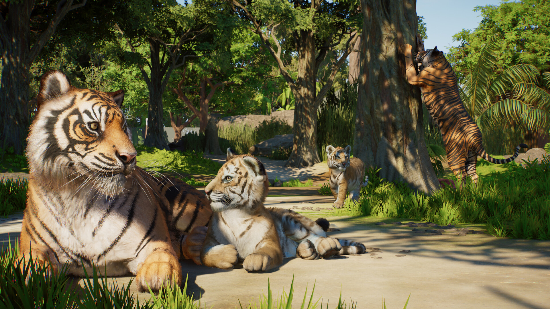 เสือและลูกเสือพักผ่อนใกล้ต้นไม้ในพื้นที่อาศัยของ Planet Zoo 2